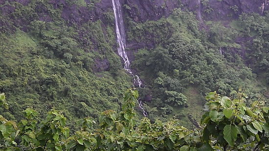 Whispering Cascades: Closed view of Pavagadh's Monsoon Waterfalls